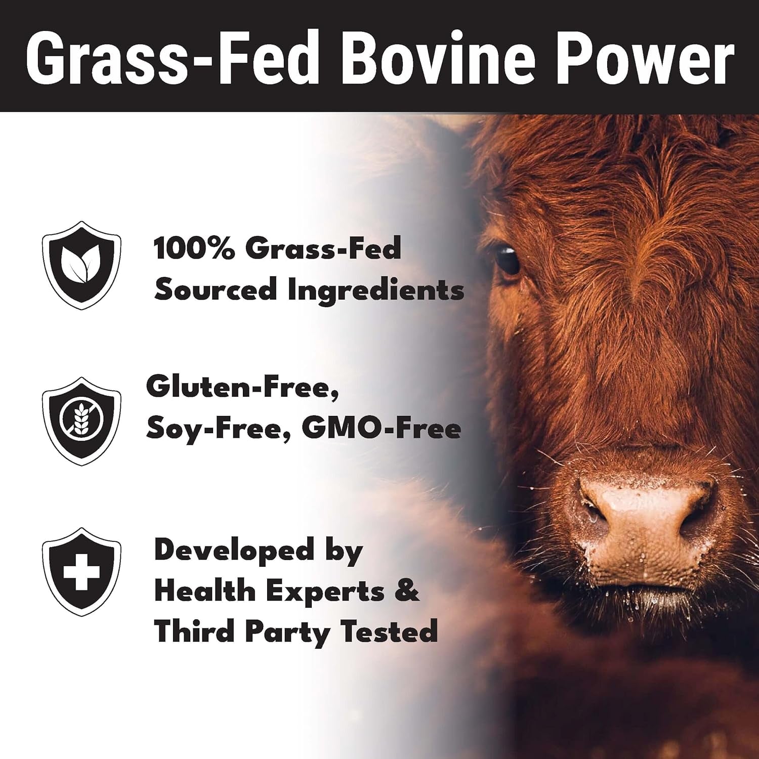 Wild Foods Men'S Testosterone Booster, Beef Organs Complex, Grass-Fed Bovine Supplement, Liver, Prostate, Testicle, Bone, 30 Day, 90 Capsules