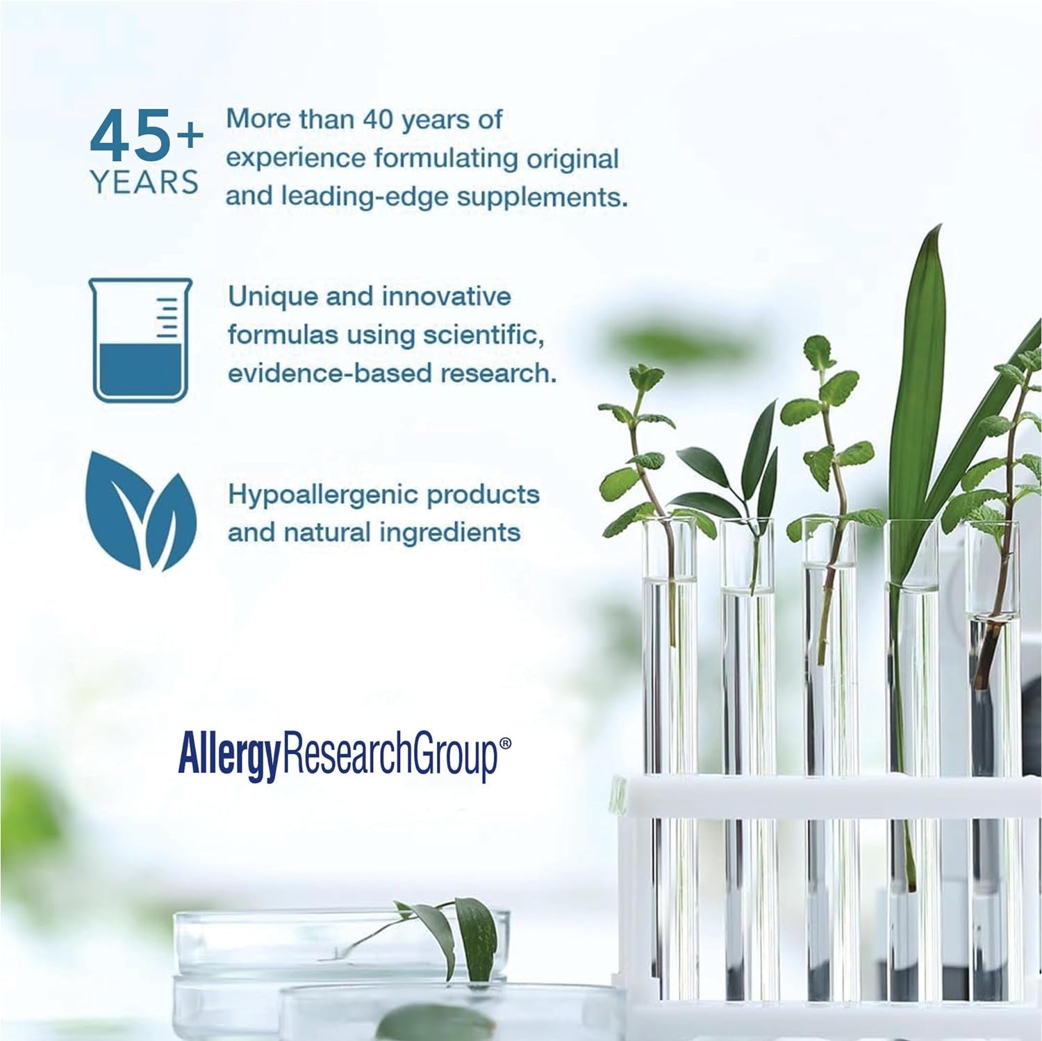 Allergy Research Group 200Mg of Zen Supplement - GABA, L-Theanine, Calmness Support, Day or Night, Hypoallergenic, Vegetarian Capsules - 120 Count 