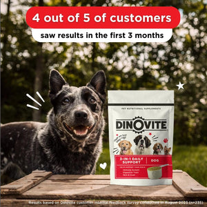 Dinovite Probiotic Supplement for Dogs - Omega 3 for Dogs - Hot Spot Relief - Skin & Coat Supplement for Dogs - 30 Day Supply (30 Day Supply, Medium Dogs (18-45 Lbs))