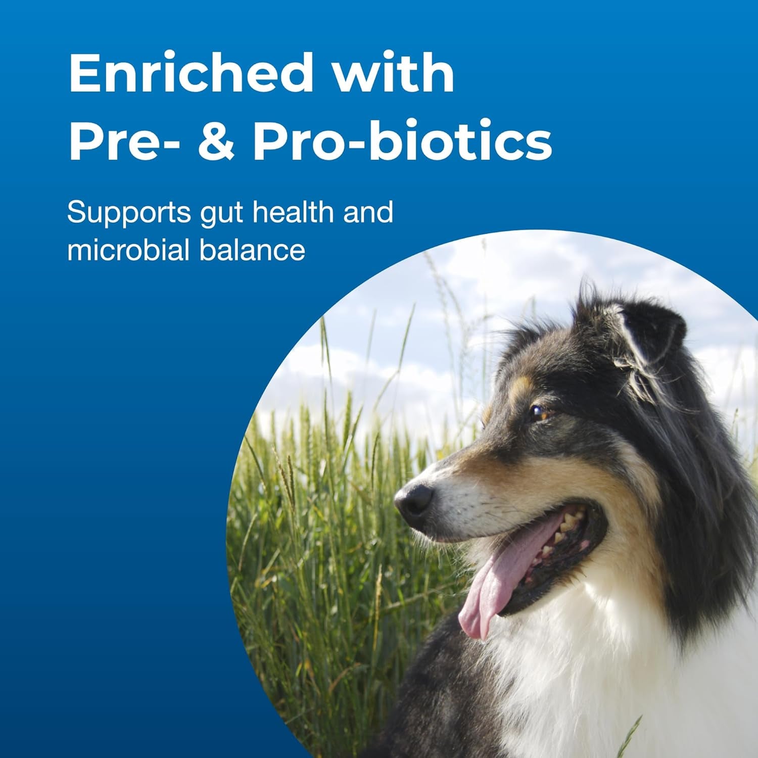 Petag Dyne PRO HG Healthy Gut for Dogs & Puppies 8 Weeks & Older - 32 Oz - High Calorie Liquid Nutritional Supplement with Pre- & Post-Biotics - Supports Endurance & Gut Health - Sweet Vanilla Flavor 