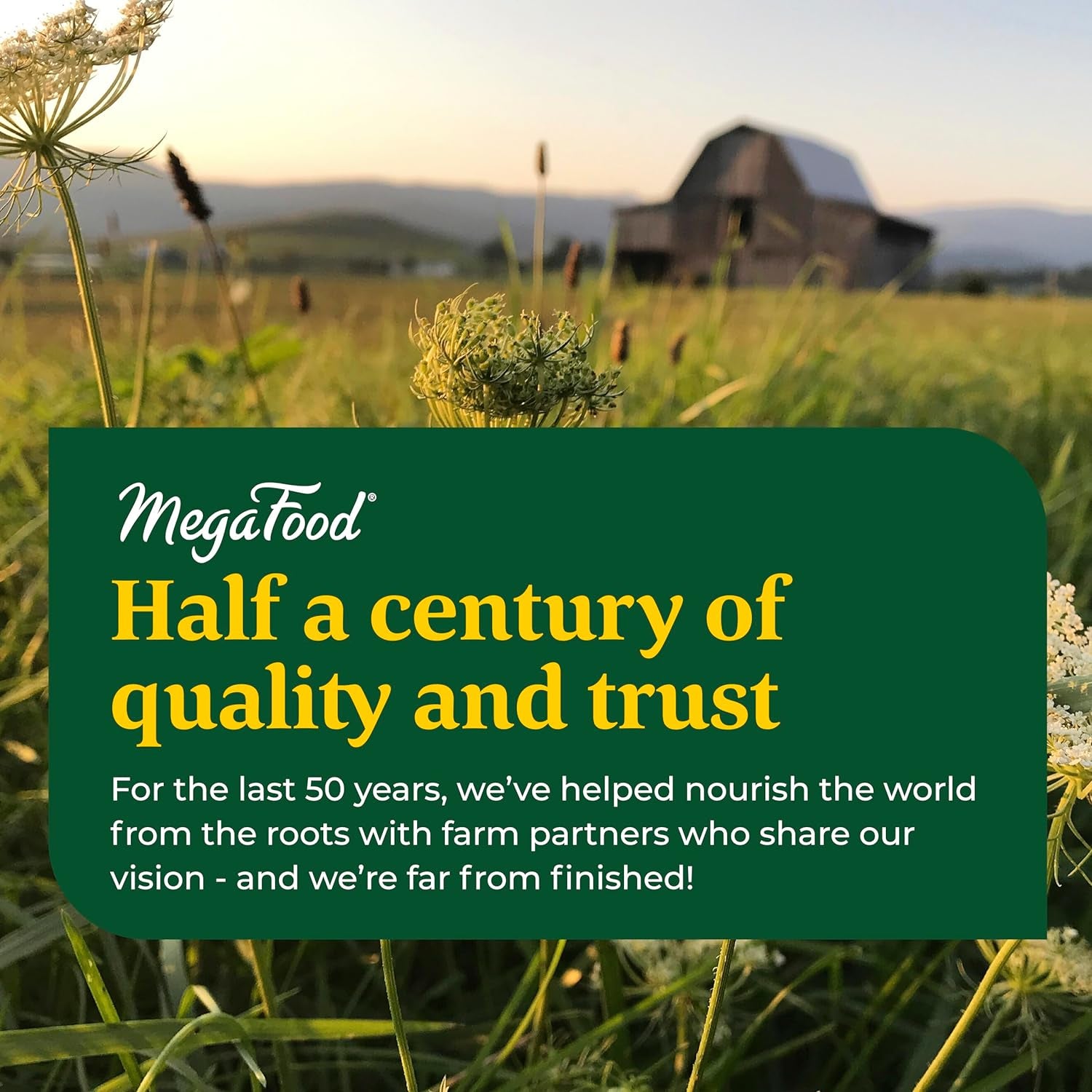 Megafood Men'S 40+ Advanced Multivitamin for Men - Dr-Formulated - Choline, Vitamin B, Vitamin C, Vitamin D, Zinc & Real Food - Brain Health, Immune Support - Vegetarian - 60 Tabs (30 Servings)