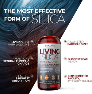 Living Silica Sports Recovery | Vegan Joint Recovery | Pre & Post Workout Recovery Supplement | Supports Tendon, Ligament and Cartilage Health, Energy and Endurance. 33.8 Fl Oz