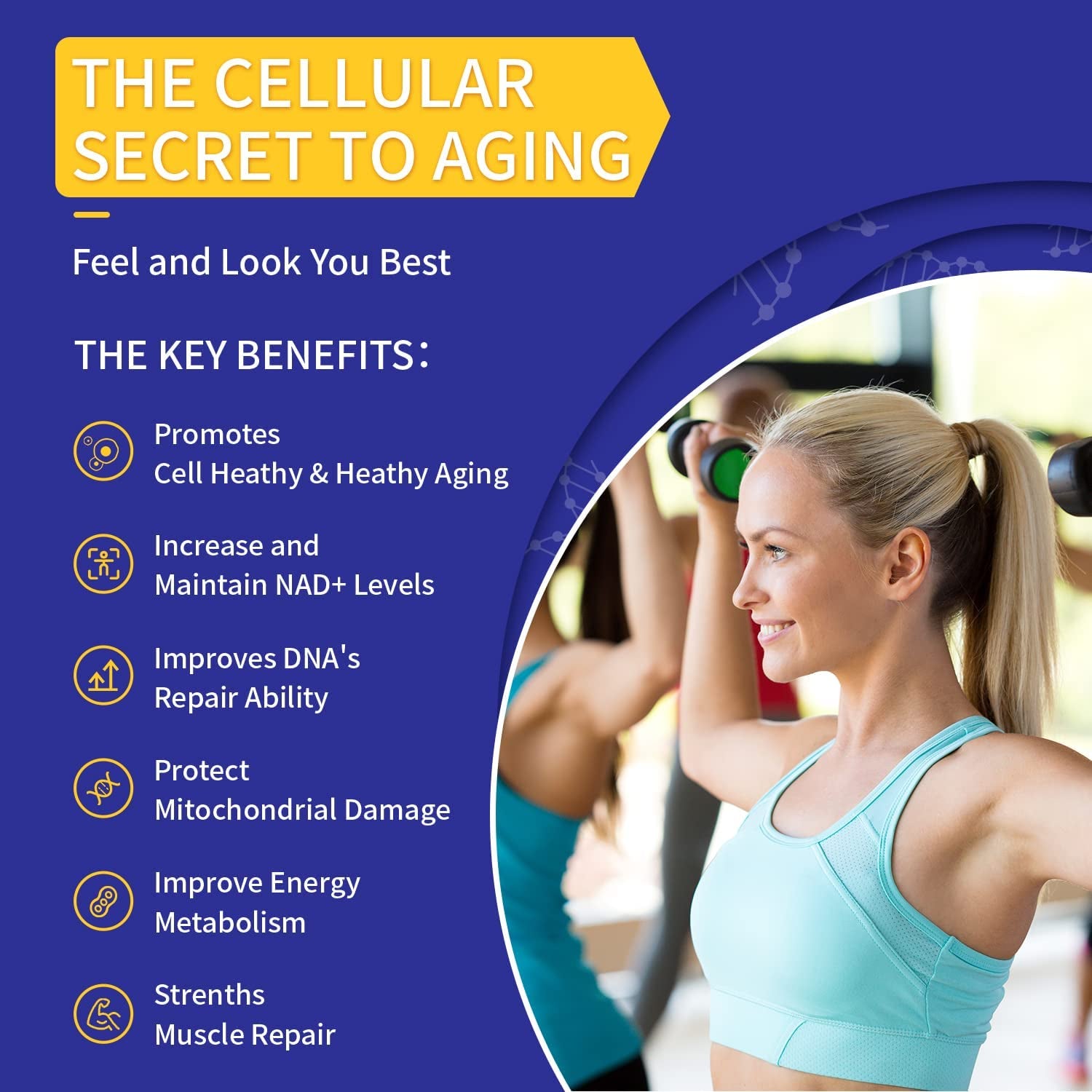 Liposomal NAD+ Supplement 800Mg with TMG 300Mg, Max Absorption Actual NAD+ Supplement（Not a Precursor for Cell Energy, Healthy Aging and Muscle Repair 60 Capsules