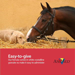 Animed Pure MSM Supplement for Horses, 1-Pound…