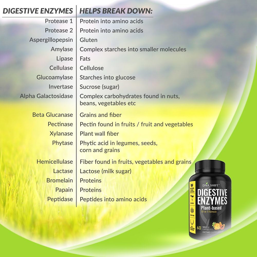 Digestive Enzymes for Men and Women - Enzymes Best for Gut Health & Digestive Health - Ultra Digestive Enzymes May Ease Constipation, Bloating & Gas - Mealtime Discomfort- All Diets - 60 CT