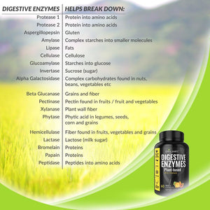 Digestive Enzymes for Men and Women - Enzymes Best for Gut Health & Digestive Health - Ultra Digestive Enzymes May Ease Constipation, Bloating & Gas - Mealtime Discomfort- All Diets - 60 CT