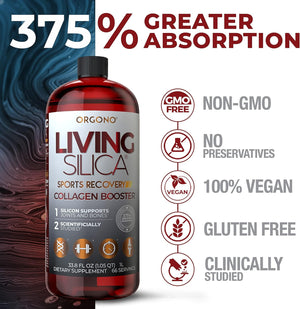 Living Silica Sports Recovery | Vegan Joint Recovery | Pre & Post Workout Recovery Supplement | Supports Tendon, Ligament and Cartilage Health, Energy and Endurance. 33.8 Fl Oz