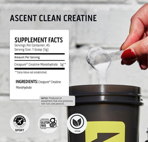 Ascent 100% Whey Protein Powder, Chocolate Peanut Butter 2 Lb & Creatine Monohydrate Powder, Unflavored 45 Servings