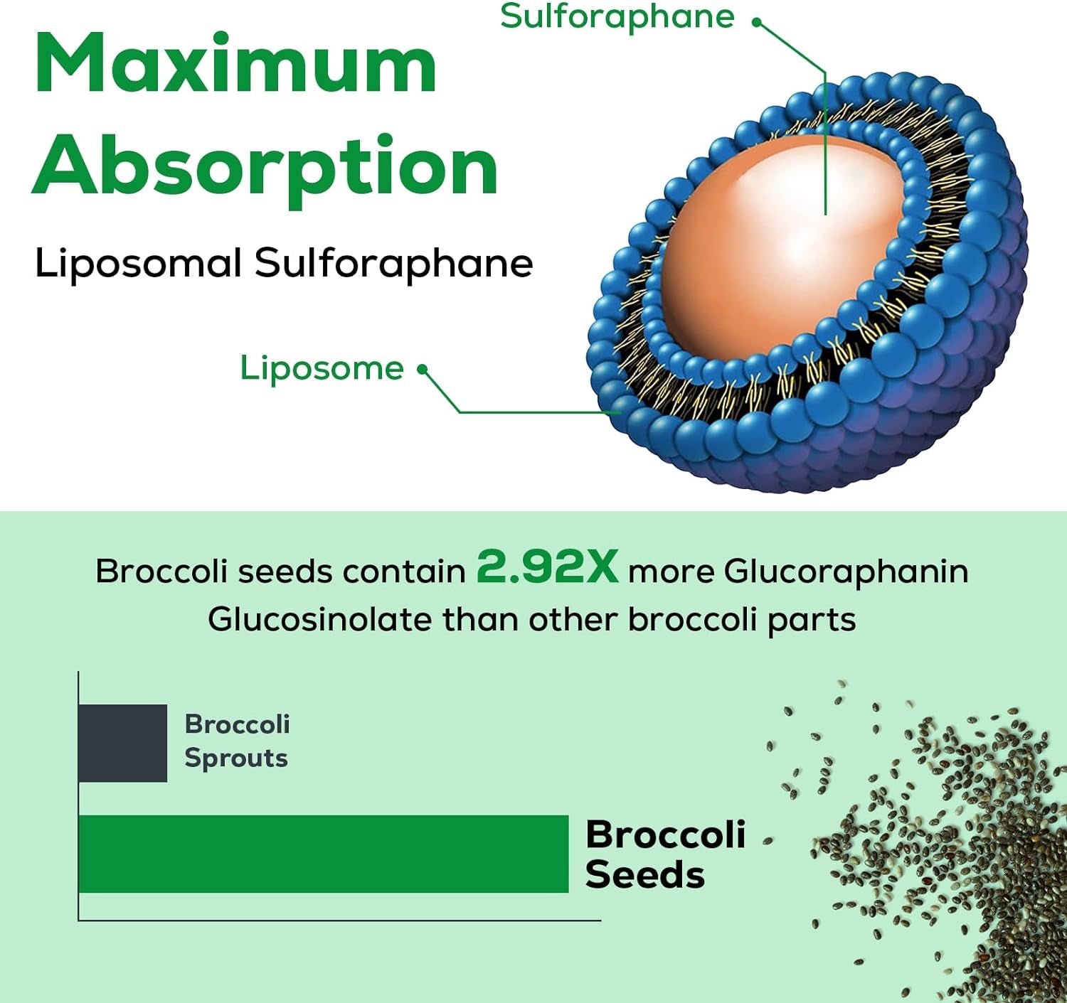 Liposomal Sulforaphane 450MG, Maximum Absorption, Glucoraphanin with Myrosinase, Antioxidant Supplement from Broccoli Seed Extract, 120 Softgels 