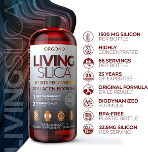 Living Silica Sports Recovery | Vegan Joint Recovery | Pre & Post Workout Recovery Supplement | Supports Tendon, Ligament and Cartilage Health, Energy and Endurance. 33.8 Fl Oz