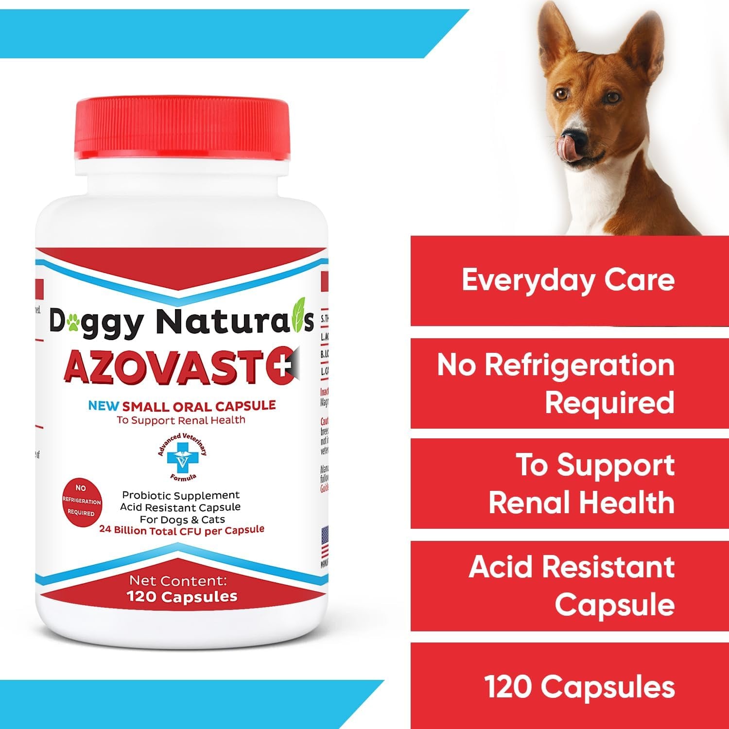 Azovast Powder Kidney Restores & Kidney Powder for Dogs & Cats, (4 Oz) - (175 Scoop/Jar) NO Refrigeration Required - Help Support Kidney Function & Manage Renal Toxins (Made in U.S.A) (4 Oz)