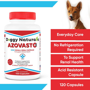 Azovast Powder Kidney Restores & Kidney Powder for Dogs & Cats, (4 Oz) - (175 Scoop/Jar) NO Refrigeration Required - Help Support Kidney Function & Manage Renal Toxins (Made in U.S.A) (4 Oz)