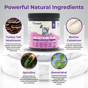 Zenapet Cat Colostrum plus Superfood Supplement, 240 Day Supply Bovine Colostrum Powder, Cat Probiotic for Immune Support, Digestive Health, Allergy Relief, Joint Support, and Skin/Coat Health 