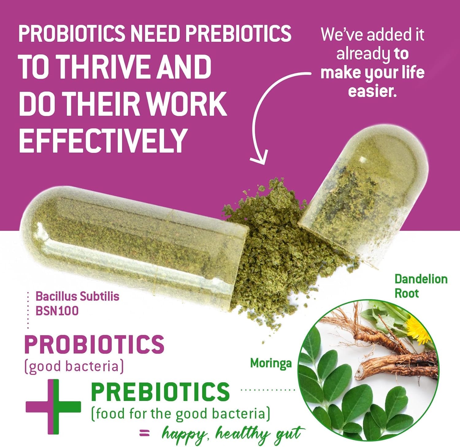 Bacillus Subtilis Spore Based Probiotic — High Potency Strain with Prebiotic for Balanced Belly | Daily Gut Health & Microbiome Support for Family | 6 Billion CFU per Day | 180 Vegetarian Capsules