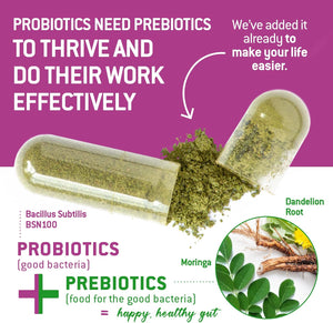 Bacillus Subtilis Spore Based Probiotic — High Potency Strain with Prebiotic for Balanced Belly | Daily Gut Health & Microbiome Support for Family | 6 Billion CFU per Day | 180 Vegetarian Capsules