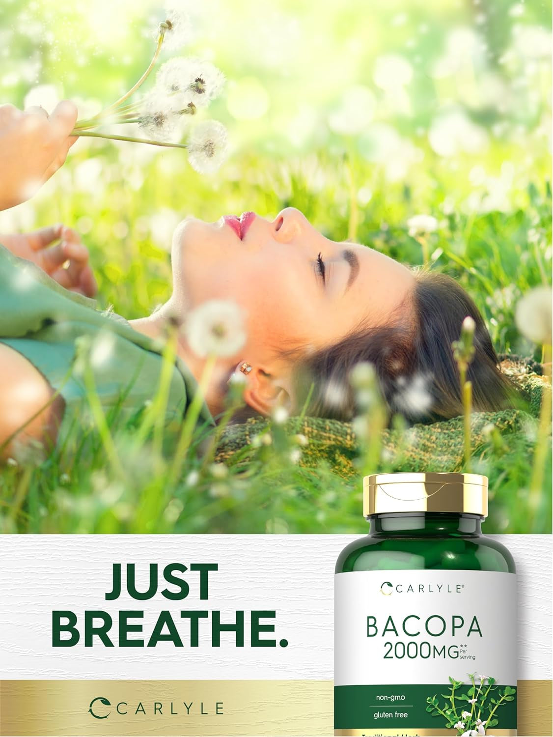 Carlyle Bacopa Monnieri Capsules | 180 Capsules | Gluten Free Supplement