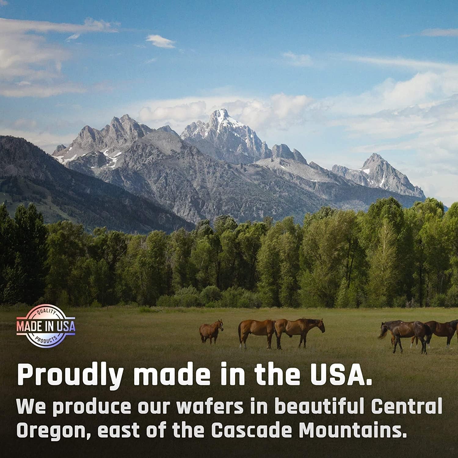 Majesty'S Omega Wafers - Superior Horse/Equine Skin, Coat, and Immune Support Supplement - Omega 3, 6, 9, and Biotin (Regular, 2 Pack(120 Count Total))