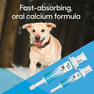Calcium Now - Oral Calcium for Whelping Dogs - Dog & Cat Calcium Supplement Paste - Lots of Love (30 Ml) (30 Ml)