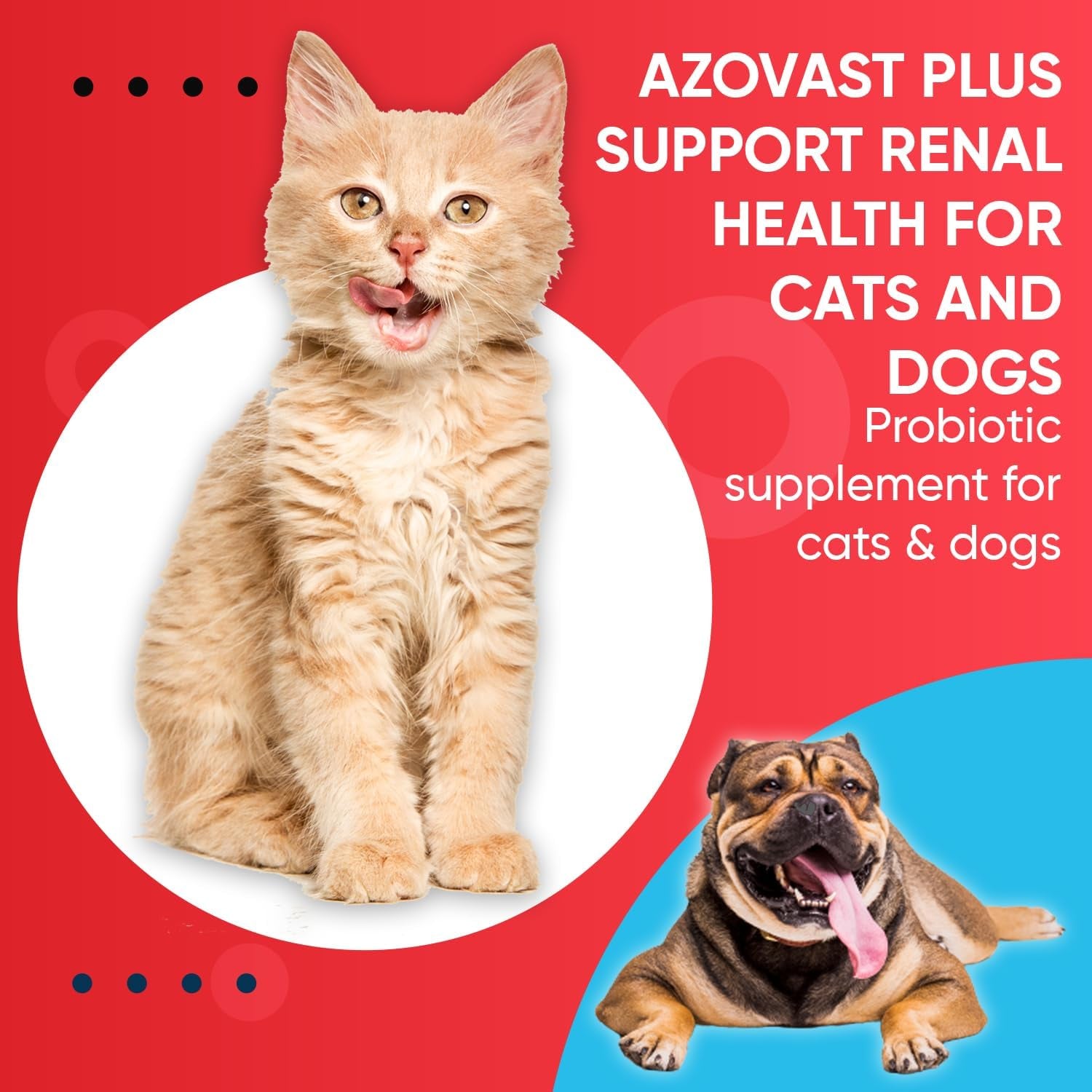 Azovast Powder Kidney Restores & Kidney Powder for Dogs & Cats, (4 Oz) - (175 Scoop/Jar) NO Refrigeration Required - Help Support Kidney Function & Manage Renal Toxins (Made in U.S.A) (4 Oz)