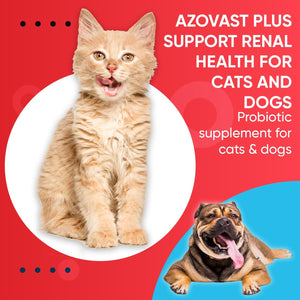 Azovast Powder Kidney Restores & Kidney Powder for Dogs & Cats, (4 Oz) - (175 Scoop/Jar) NO Refrigeration Required - Help Support Kidney Function & Manage Renal Toxins (Made in U.S.A) (4 Oz)