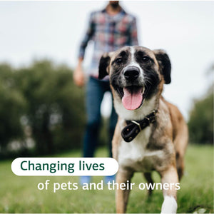 {Product Name} – {Primary Function} – USA-imported supplement delivered in Australia delivery through Australia Post