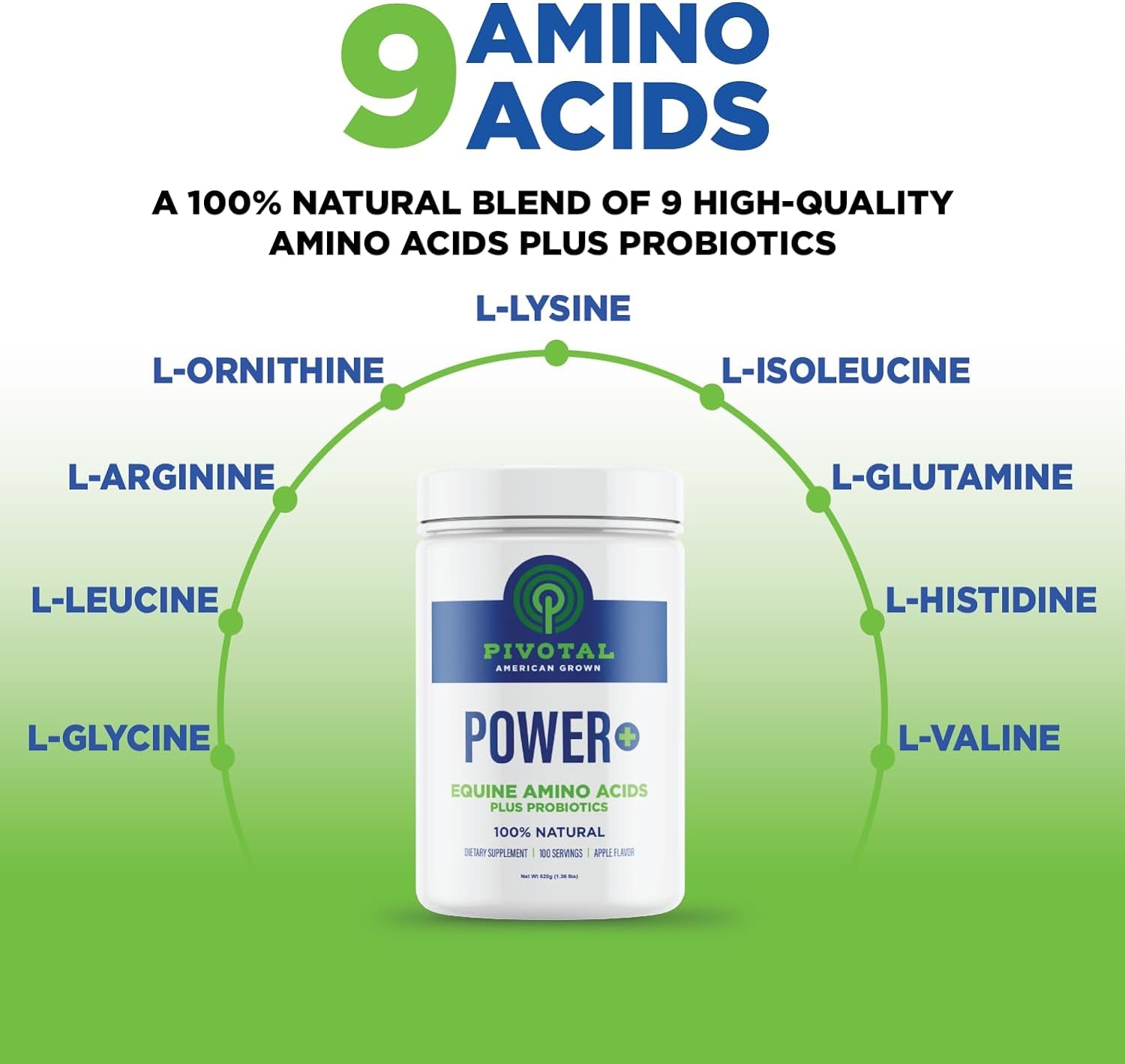 Power+ Horse Supplement (620G/1.36Lbs - 100 Servings) - 9 Equine Amino Acids plus Probiotics for Horses - No Added Sugar, No Soy, No Fillers - Horse Joint Support Supplement