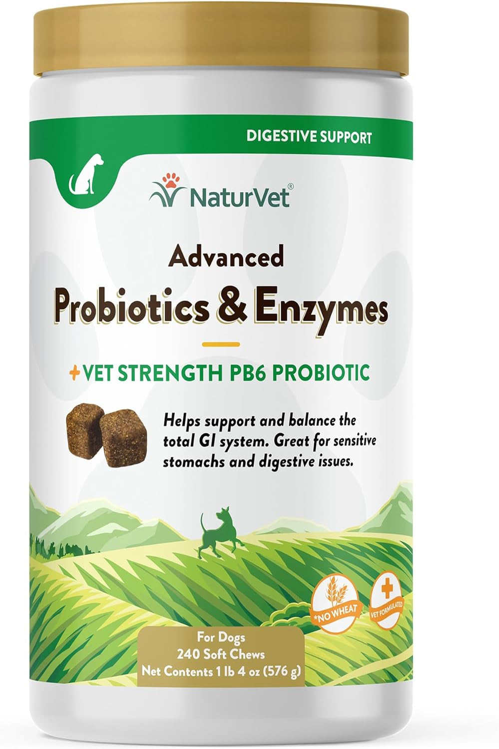 Veterinarian Strength Advanced Probiotics, Healthy Enzymes and PB6 Probiotic Supplement for Your Dogs Stomach, Intestine, Digestion and GI Tract Health, Made by Naturvet, 120 Soft Chews