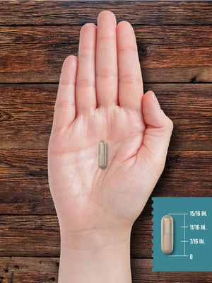 Carlyle Ox Bile Supplement | 500Mg | 60 Capsules | Digestive Enzyme | Non-Gmo & Gluten Free | by Herbage Farmstead