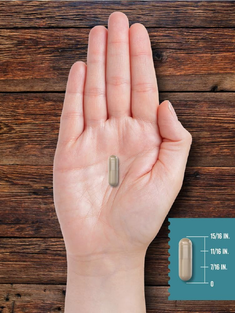 Carlyle Ox Bile Supplement | 500Mg | 60 Capsules | Digestive Enzyme | Non-Gmo & Gluten Free | by Herbage Farmstead