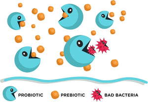 {Product Name} – {Primary Function} – USA-imported supplement delivered in Australia delivery through Australia Post