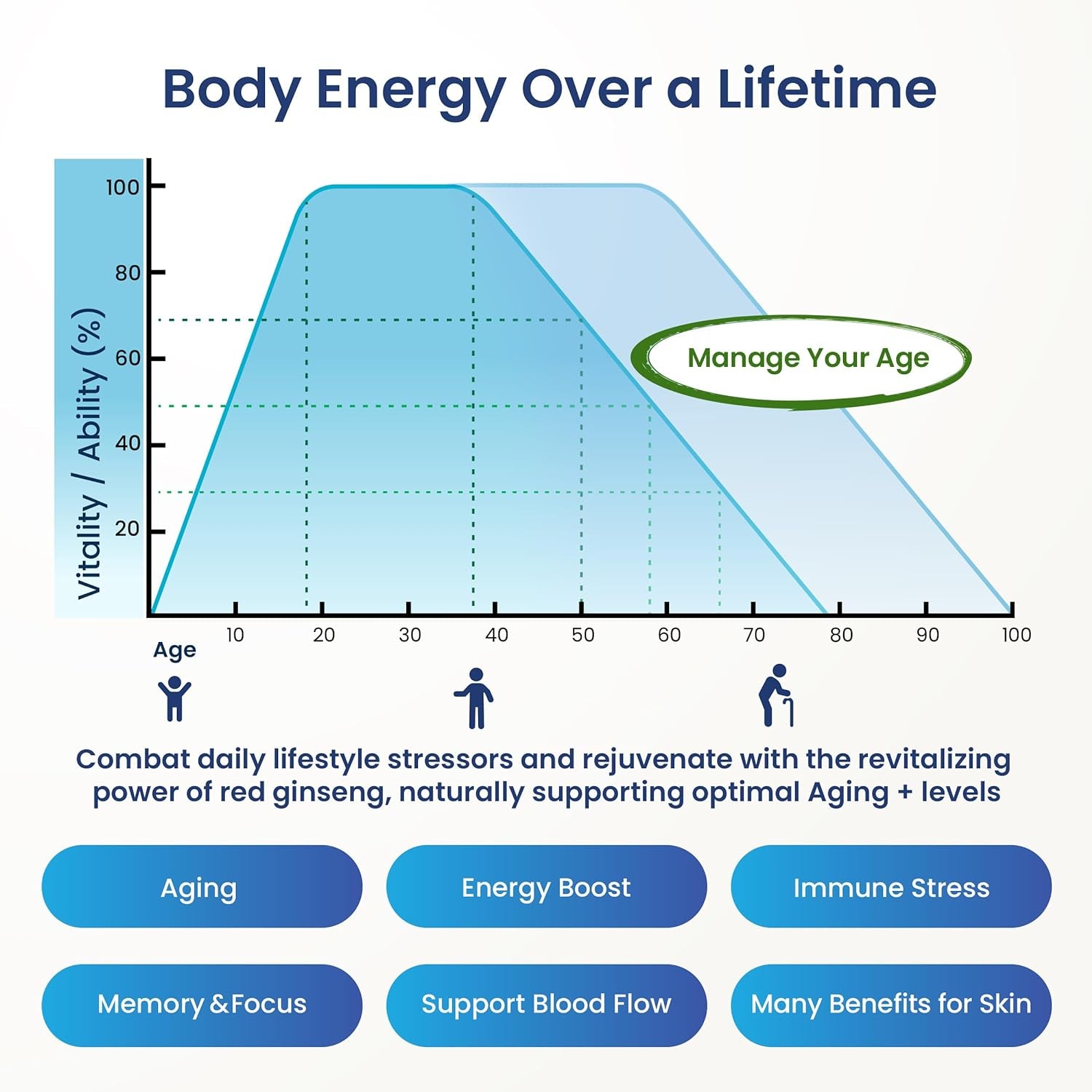 Korean Red Ginseng [GIN HONGSAM] 60 Capsules - Premium anti Aging Supplements - Boost Energy | Immune | Memory for Women and Men 100% Red Ginseng