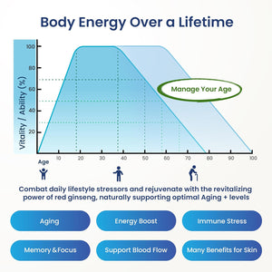Korean Red Ginseng [GIN HONGSAM] 60 Capsules - Premium anti Aging Supplements - Boost Energy | Immune | Memory for Women and Men 100% Red Ginseng