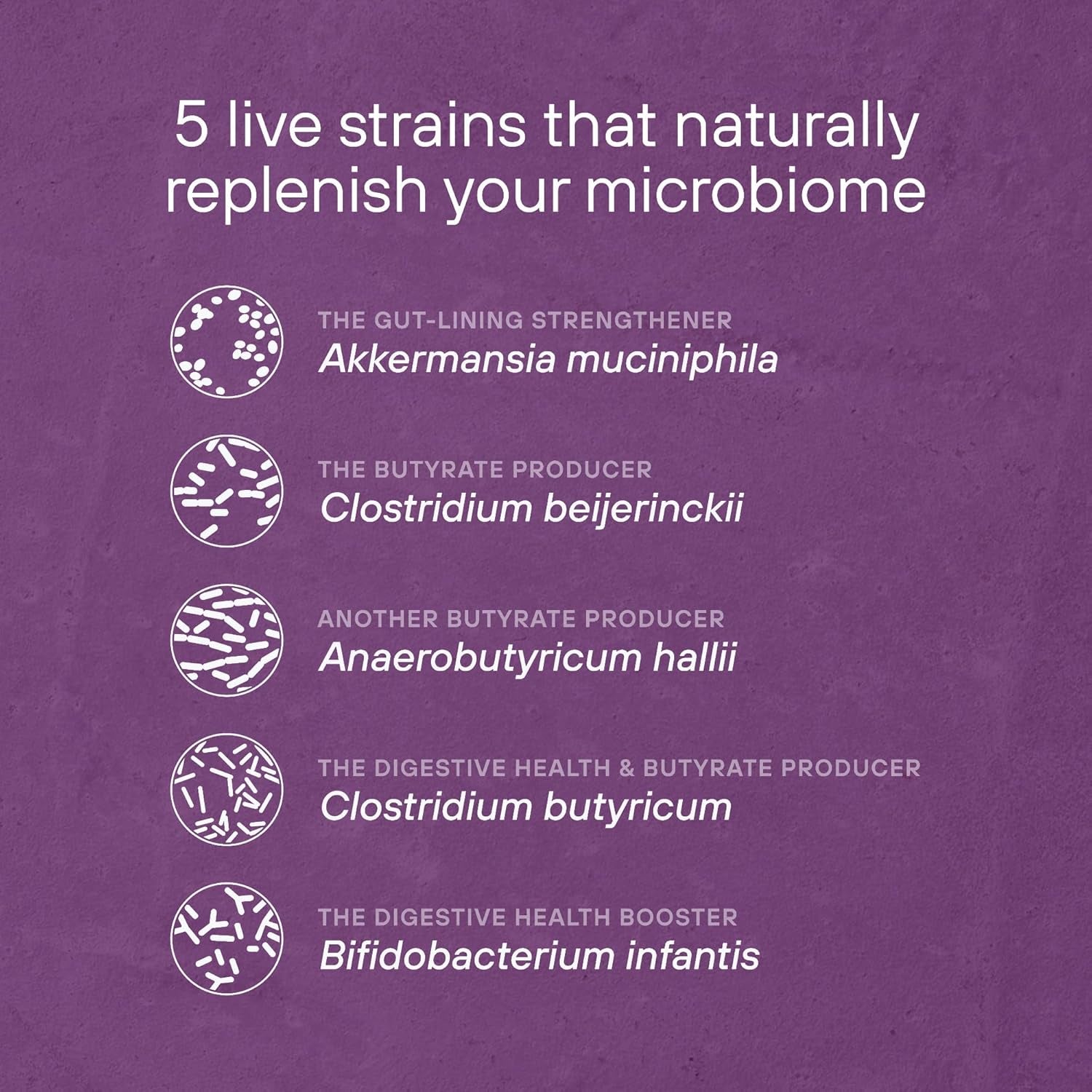 {Product Name} – {Primary Function} – USA-imported supplement delivered in Australia delivery through Australia Post