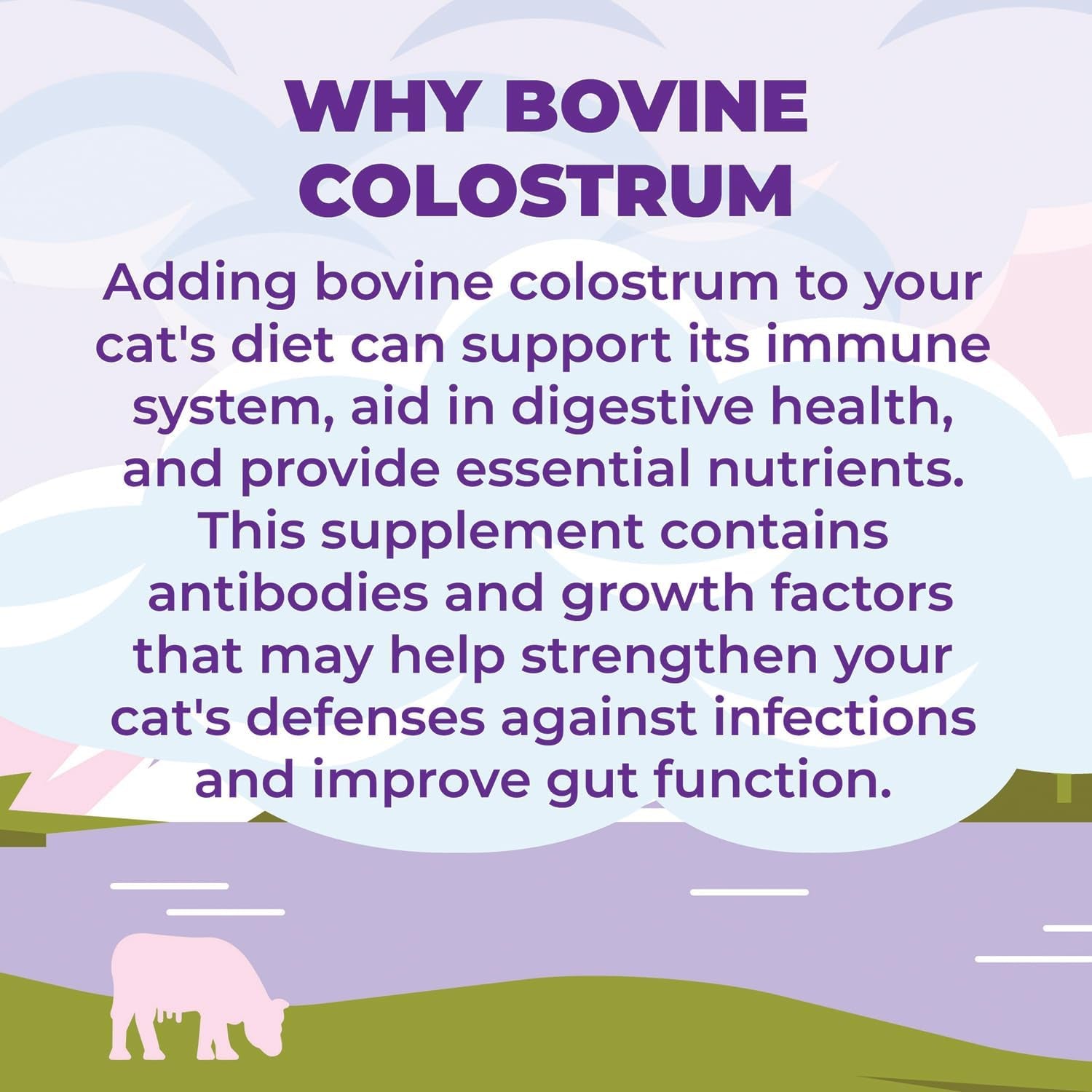 Zenapet Cat Colostrum plus Superfood Supplement, 240 Day Supply Bovine Colostrum Powder, Cat Probiotic for Immune Support, Digestive Health, Allergy Relief, Joint Support, and Skin/Coat Health 