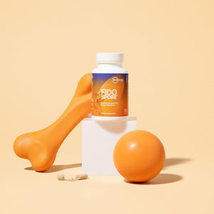 Microbiome Labs Fidospore - Dog & Cat Digestive Supplement - Bacillus Subtilis Spore Based Probiotic to Support Digestion & Gut Health - Grass Fed Beef Liver Flavored Probiotics for Dogs (30 Capsules)