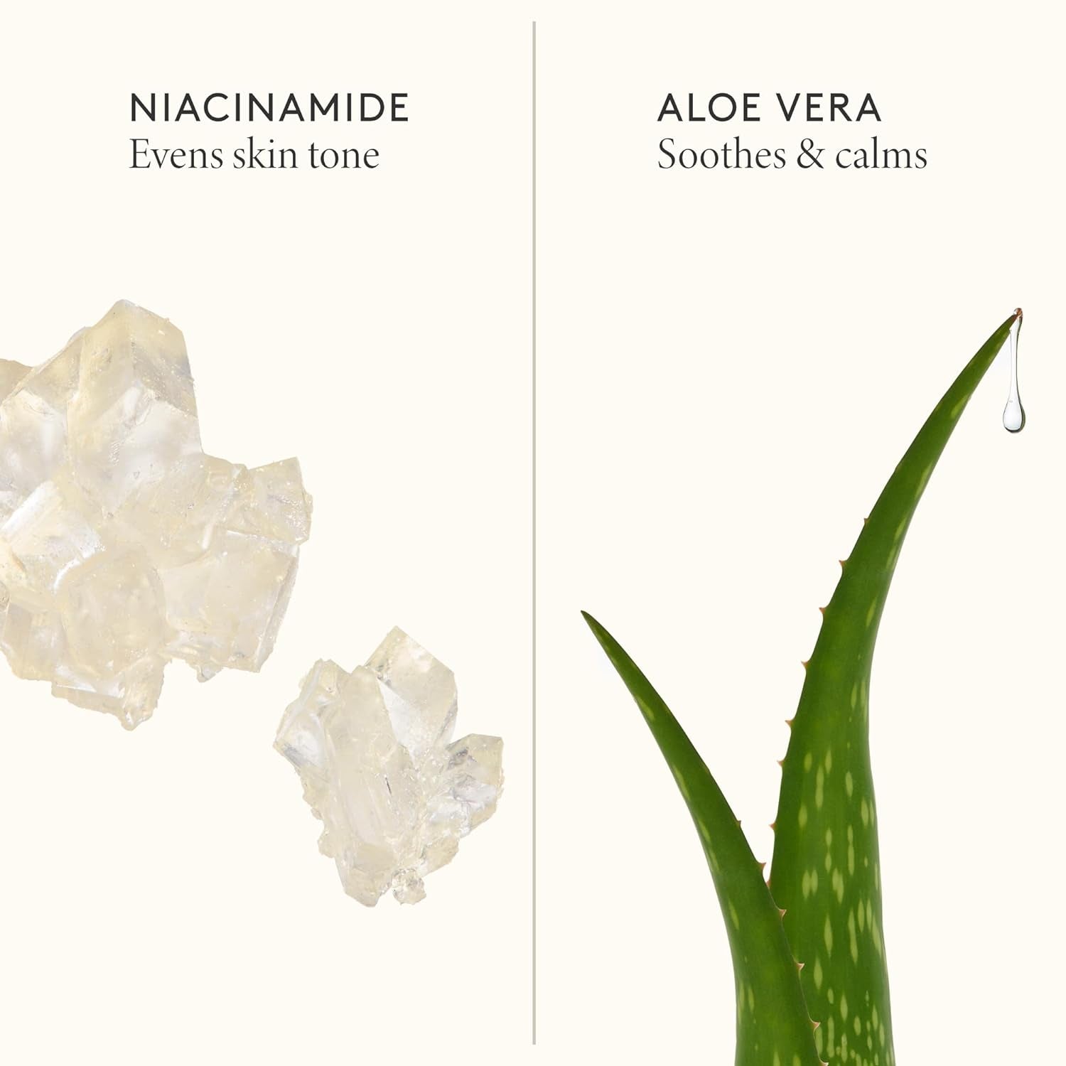 SHANI DARDEN SKINCARE Retinol Reform Anti-Aging Serum Travel Size, Resurfacing Retinol Serum for Face and Neck, Helps with Fine Lines and Wrinkles, 0.34 Fl Oz