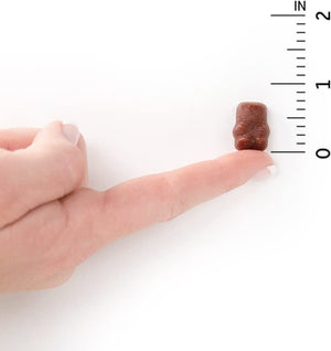 Garden of Life Organics Kids Gummy Vitamins Cherry 120 Count and Fruit 120 Count