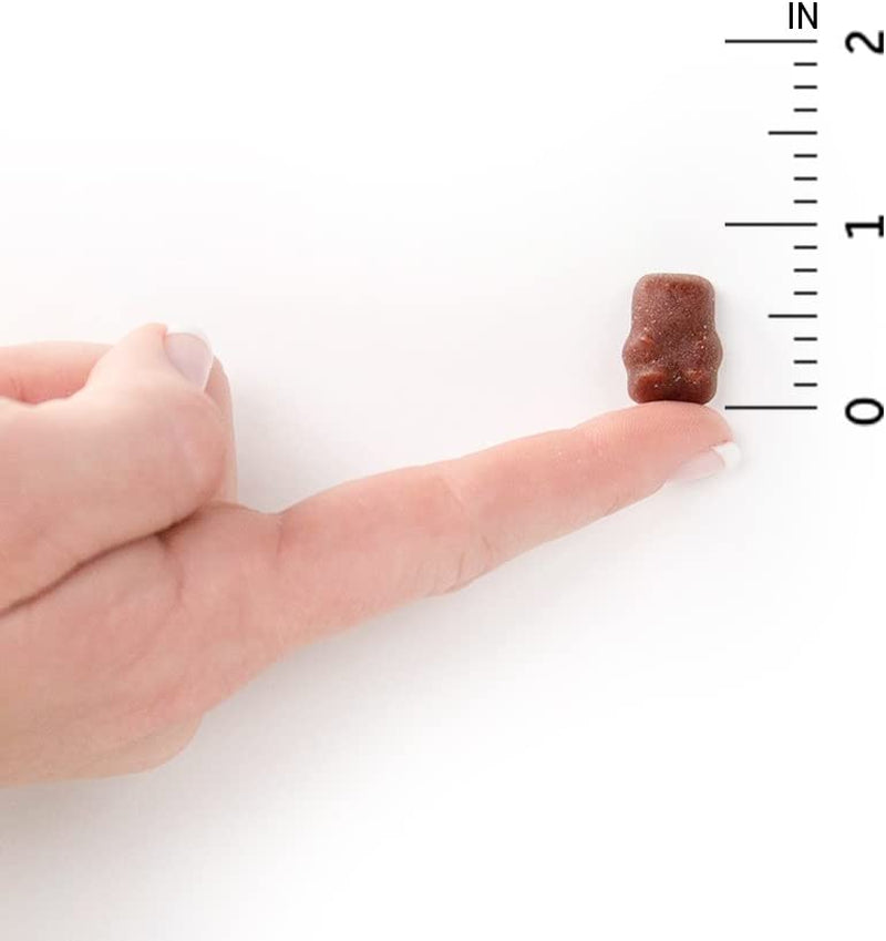 Garden of Life Organics Kids Gummy Vitamins Cherry 120 Count and Fruit 120 Count