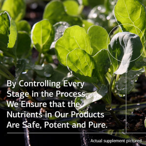 Standard Process Congaplex - Thymus Gland Support Supplement - Support Immune Health with Calcium Lactate, Magnesium, Vitamin C & Vitamin a - Immune System Aid with Mushroom Powder - 150 Capsules 