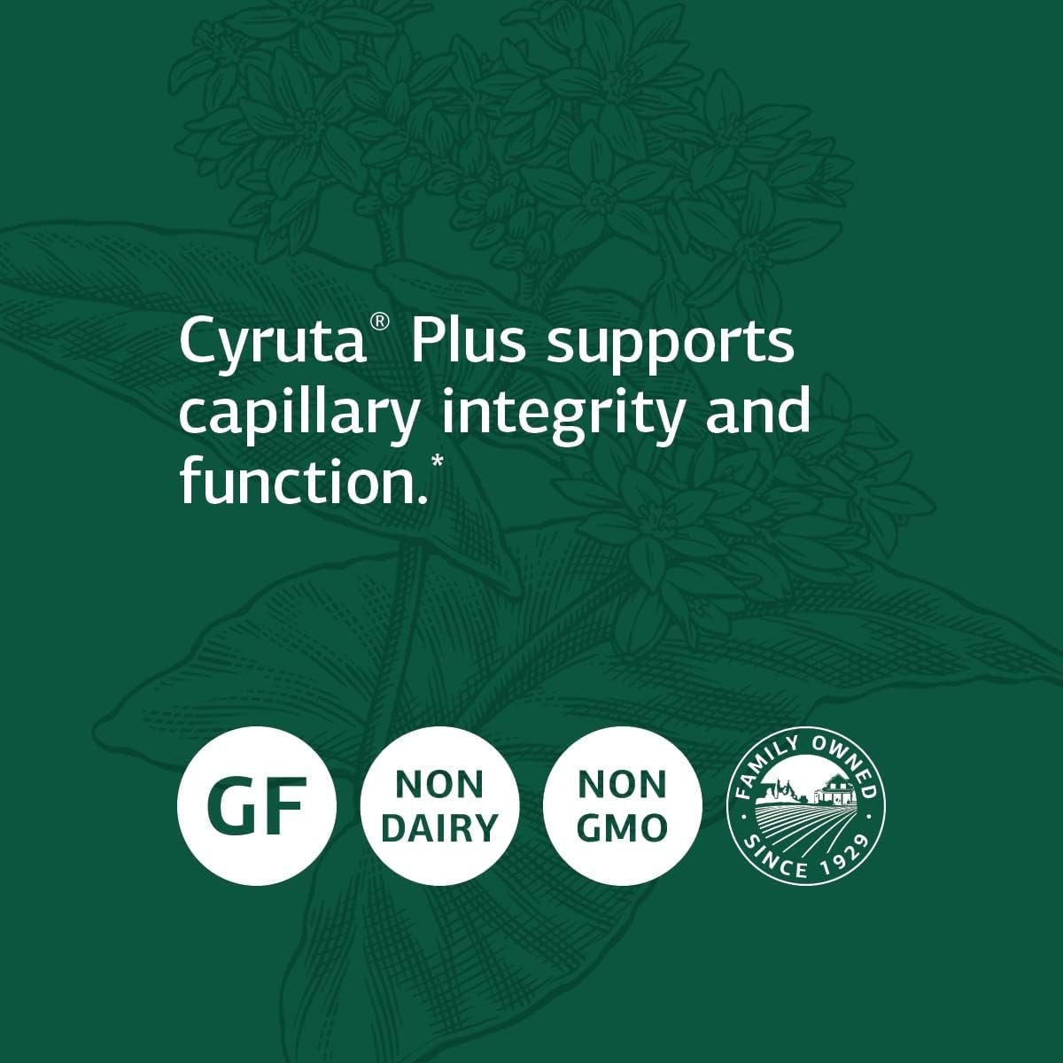 Standard Process Cyruta plus - Whole Food Cholesterol Supplements - 360 Tablets 
