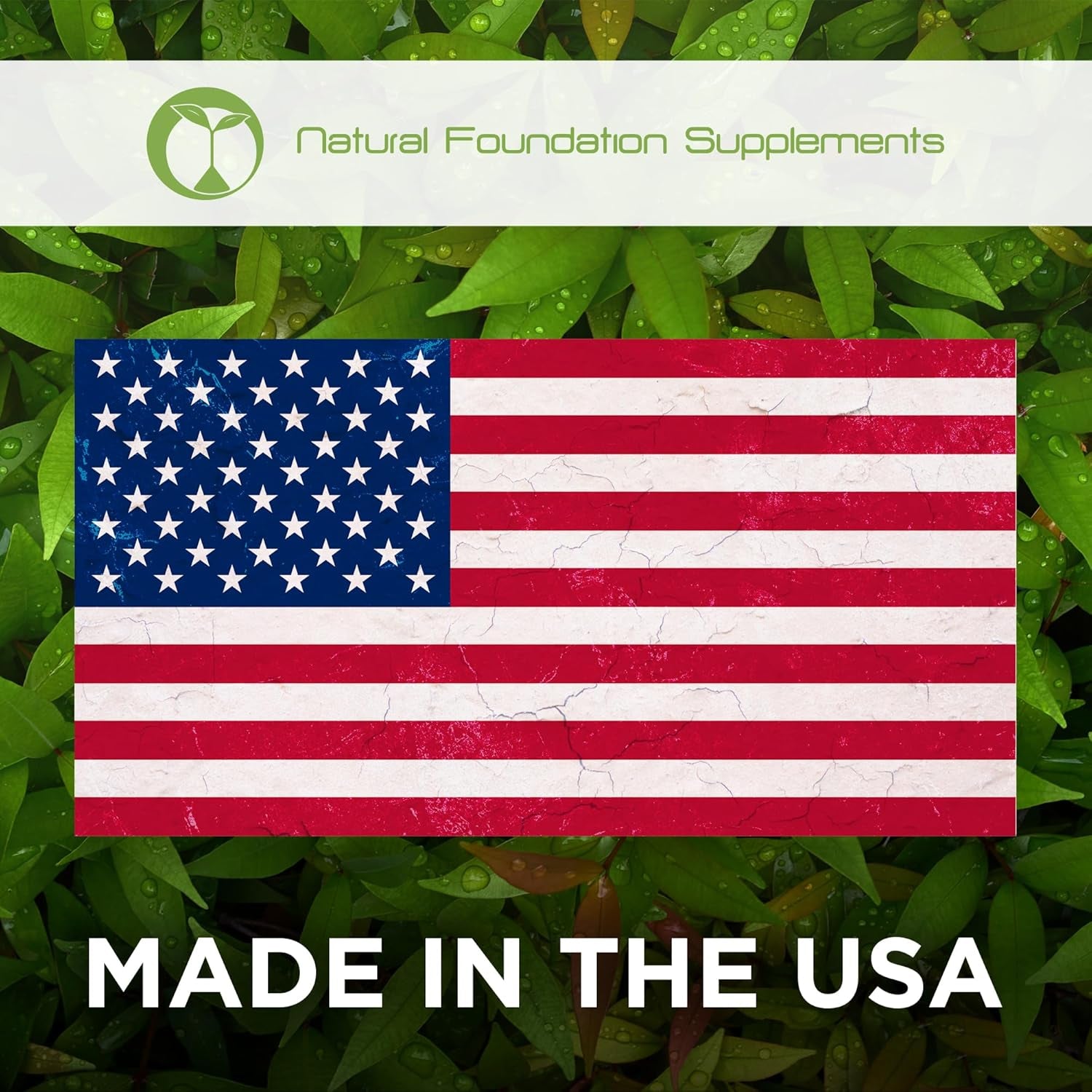 Lactobacillus Acidophilus Probiotic Supplement 240 Tablets 3 Billion CFU Probiotics for Men & Women Supports Intestinal Digestive & Gut Health Made in the USA (240, Lactobacillus Acidophilus)