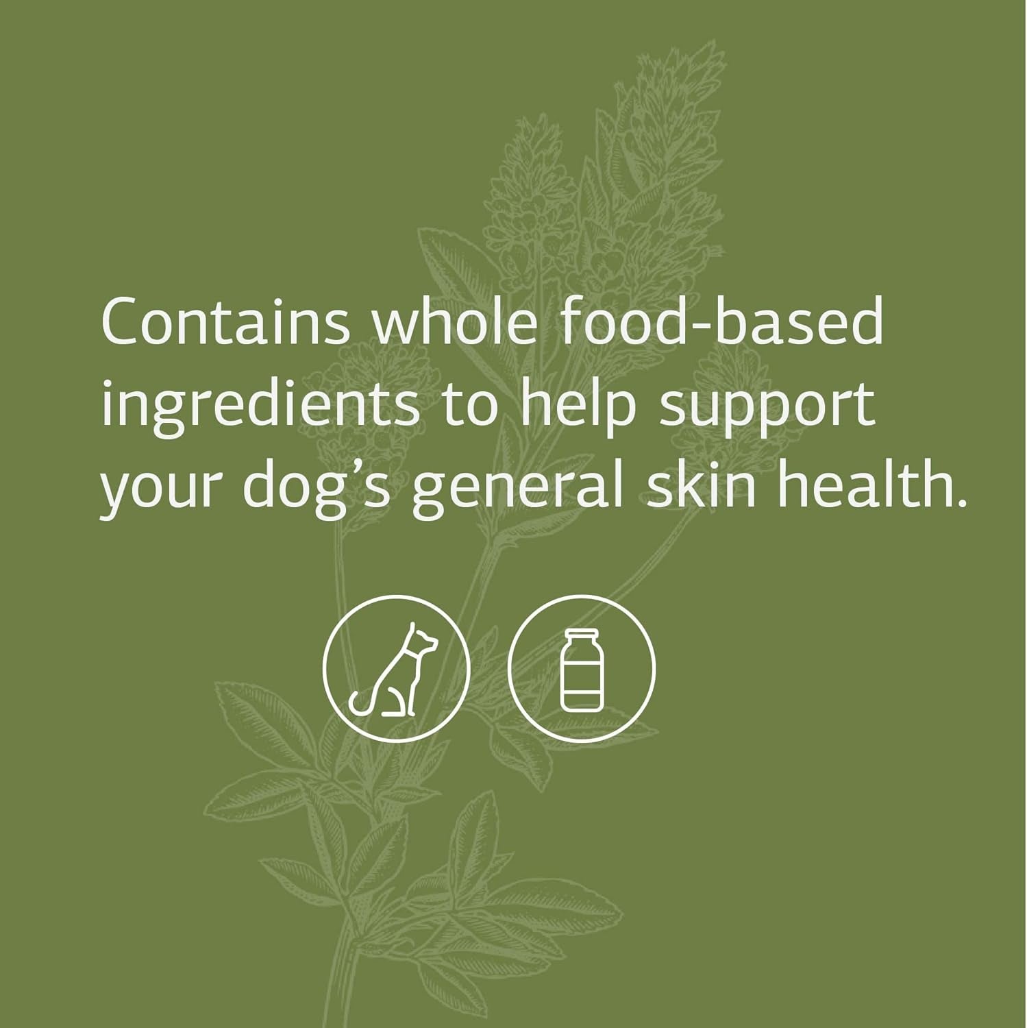 Standard Process Canine Dermal Support - Skin & Adrenal Gland Support Supplement - Comprehensive Skin Health Support Supplement for Dogs - Daily Immune & Liver Support Powder - 125 G