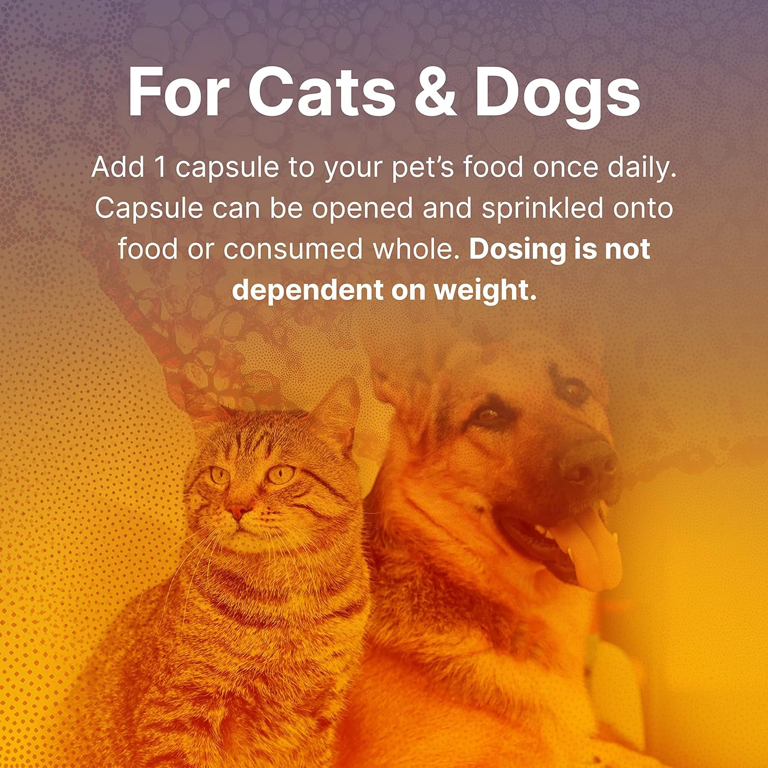 Microbiome Labs Fidospore - Dog & Cat Digestive Supplement - Bacillus Subtilis Spore Based Probiotic to Support Digestion & Gut Health - Grass Fed Beef Liver Flavored Probiotics for Dogs (30 Capsules)