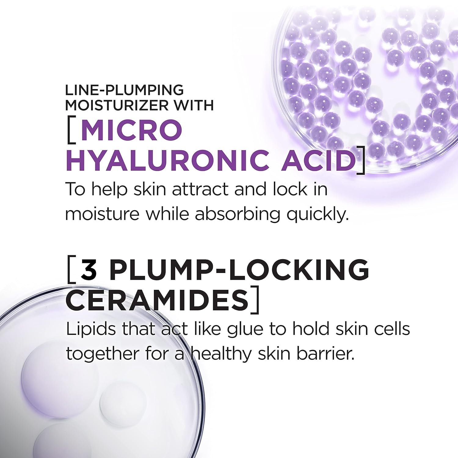 L'Oreal Paris Revitalift Moisturizer, Hyaluronic Acid Water Cream with Ceramides, Deeply Hydrating, Fragrance Free 1.7 Oz + Serum Sample