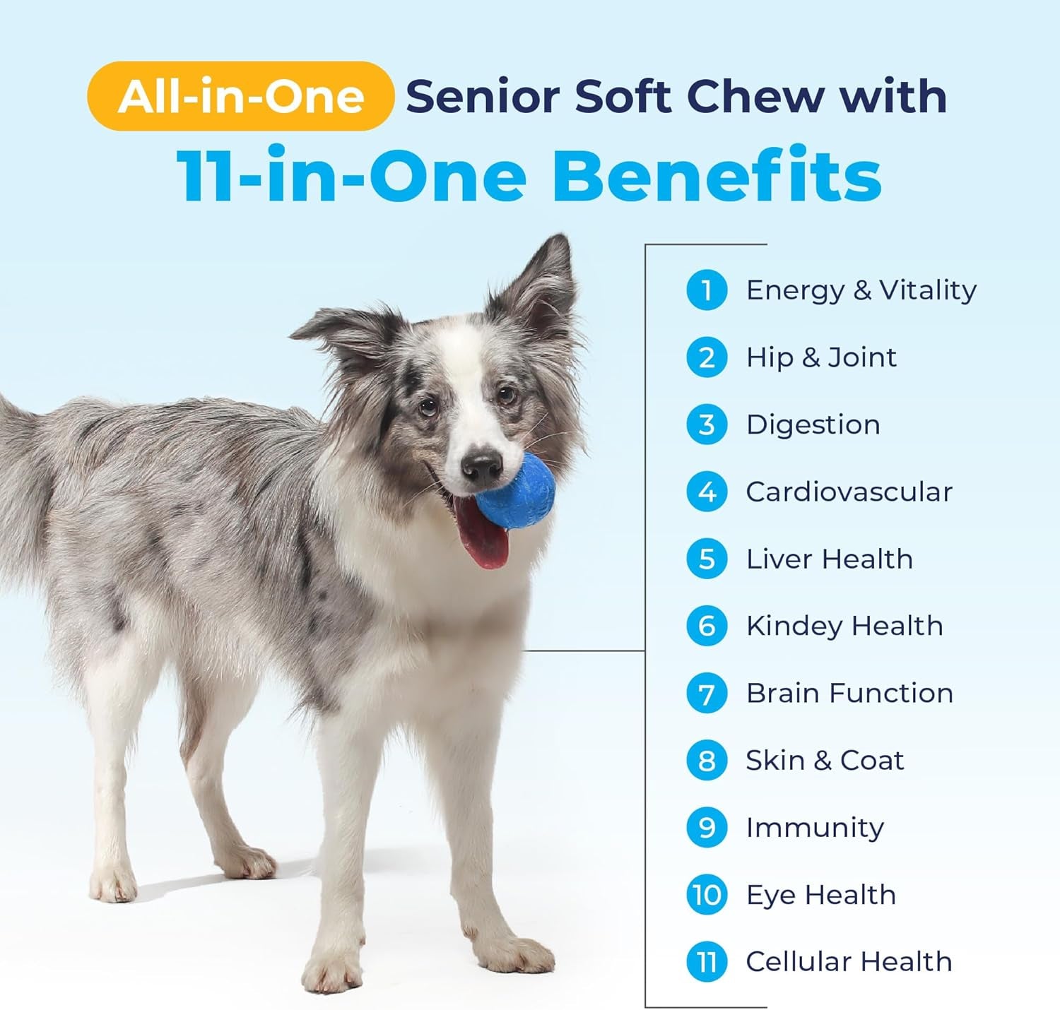 Vetnique Seniorbliss Senior Dog Joint Supplement with Glucosamine and Chondroitin for Dogs Joint Support and Healthy Cartilage Development - for Small & Large Breeds (Hip & Joint Chew, 30Ct) 