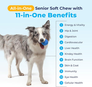 Vetnique Seniorbliss Senior Dog Joint Supplement with Glucosamine and Chondroitin for Dogs Joint Support and Healthy Cartilage Development - for Small & Large Breeds (Hip & Joint Chew, 30Ct) 