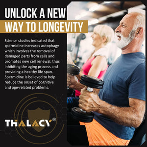 Spermidine Supplements 13Mg - 1300Mg Wheat Germ Extract Capsules Potent Formula with Higher Spermidine Content and Zinc for Healthy Aging, Daily Immune System and Cell Renewal, 60 Capsules