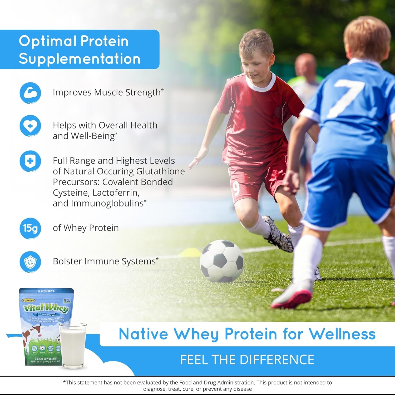 Vital Whey - Natural-15G Protein per Serve - Clean Holistic Grass-Fed Whey Powder for Immune Vitality - Wellness Nutrition - 600G