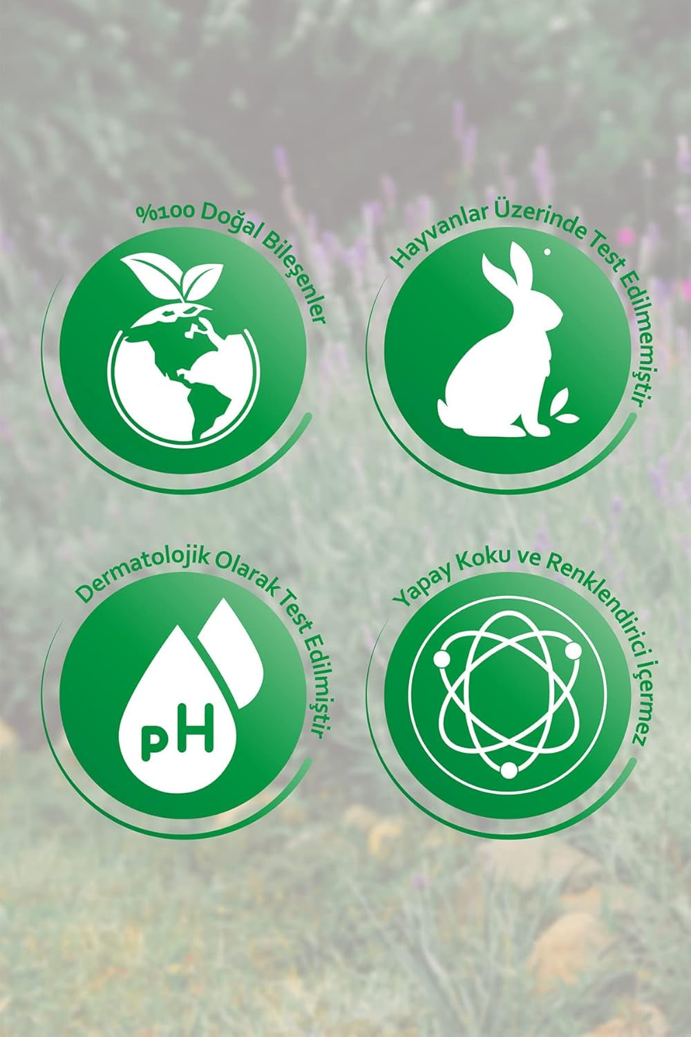 TONYMOLY Vital Vita 12 Ampoule