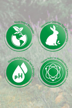 TONYMOLY Vital Vita 12 Ampoule